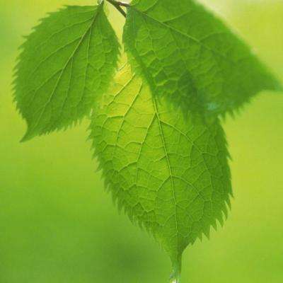 IM体育App下载截图